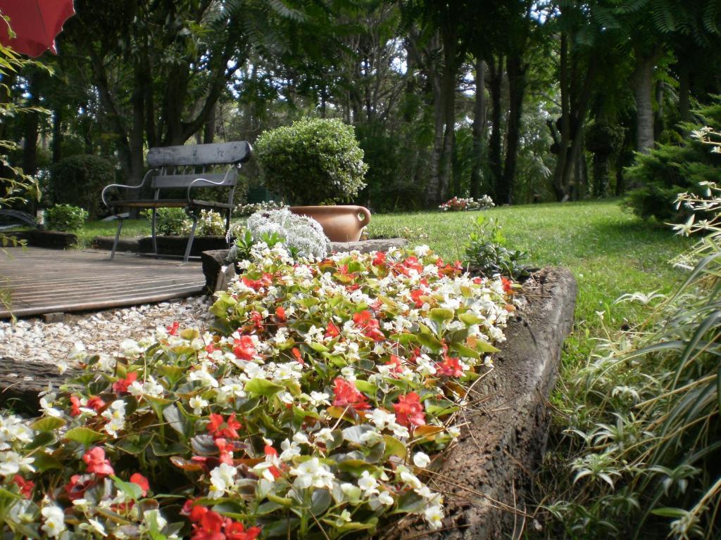 Posada Del Bosque By Hs Carilo Ngoại thất bức ảnh